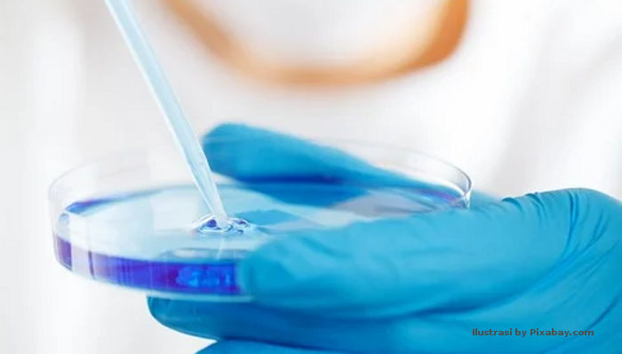 Bioteknologi, Cabang Ilmu Pengetahuan Pembuatan Vaksin Corona
