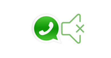 WhatsApp Bisa "Mute" Selamanya